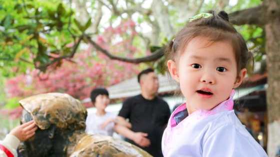 Top famous Chinese girl names and their meanings