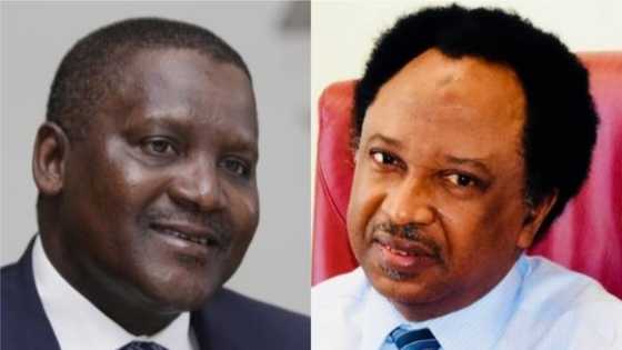 Shehu Sani ya mayar da martani kan mukamin da aka ba Dangote a kwamitin kamfen din Buhari