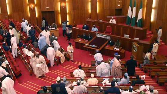 Senate abandons mace theft case, promises not to revisit issue