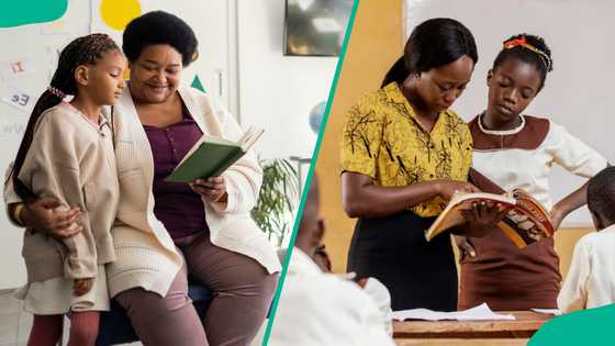 Types of teaching methods: their advantages and disadvantages