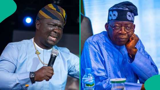 Seyi Law bows to pressure, apologises over comment about security, sends message to Tinubu