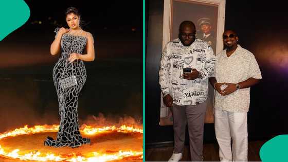 DJ Big N shuns naysayers, defends Don Jazzy over narrative of being gay: "He has never met Bobrisky"