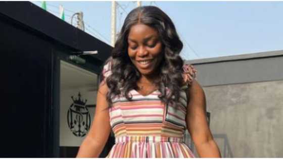 I was pregnant in the house, moment BBNaija's Bisola made surprising revelation, sparks reactions online