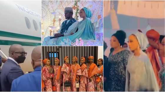 Presidential wedding of the year: 1st photos, videos of Yusuf Buhari's Fathia, Osinbajo, VIP guests arrive