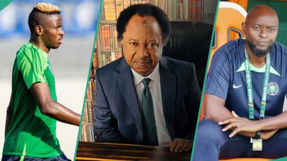 Finidi vs Osimhen: Shehu Sani discloses effect on Super Eagles