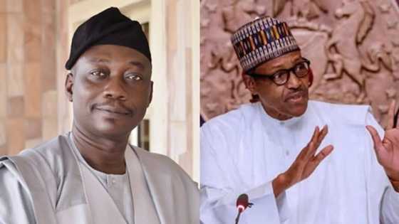 How Buhari's aides damaged his image, made Nigeria a laughing stock - Lawmaker reveals