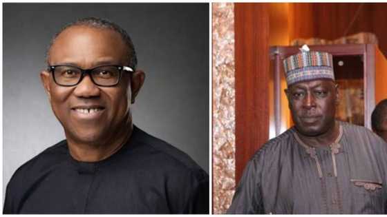Ex-SGF Lawal insists on Peter Obi, says Atiku represents ethnic domination if he wins