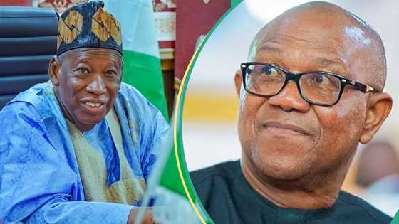 "We can't fold our arms": APC backs national secretary, blasts Peter Obi over alleged threat to life