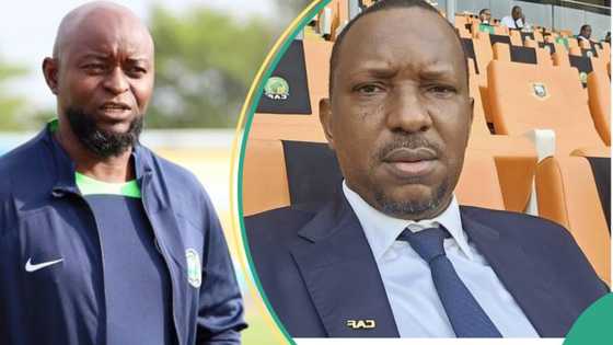 Why Finidi George was appointed Super Eagles manager, CAF member shares