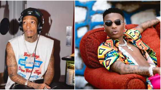 OBO would have shouted everywhere: Reactions as Wiz Khalifa reveals he's working on collaboration with Wizkid