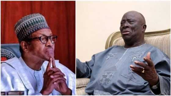 Insecurity: What is he presiding over? Afenifere leader asks, reveals why Buhari is still in office