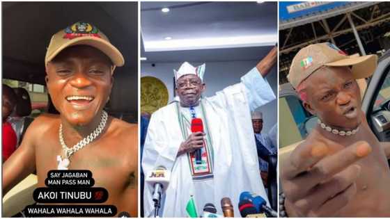 "Sai Jagaban": Portable hits Lagos streets to celebrate Tinubu's victory as president-elect, video trends