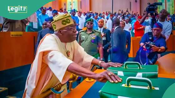 Jerin muhimman ɓangarori 4 da Tinubu ya warewa kaso mafi tsoka a kasafin kudin 2025