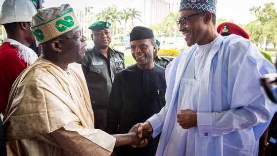 2023: Buhari’s appointee names former governor who may emerge as APC’s consensus presidential candidate