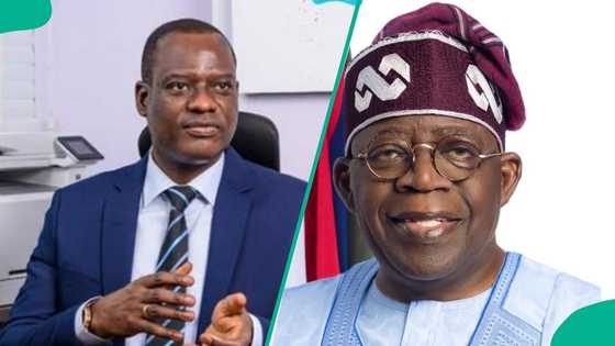 All incomes will be taxed no matter the source, says Tinubu's tax committee