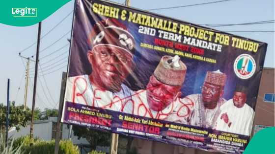 Ana ruguza allunan tallata Tinubu a Zamfara, ran jam'iyyar APC ya baci