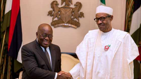 Presidency shares video as Buhari holds closed-door talks with African president
