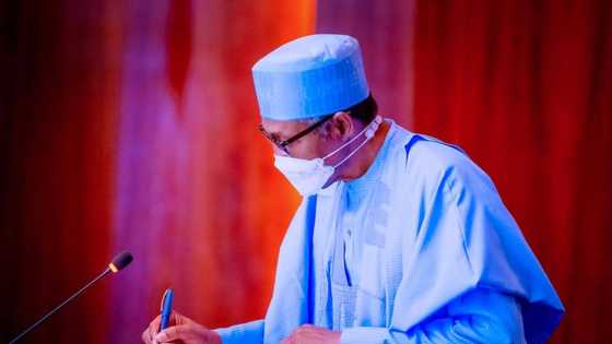 Buhari says his government has worked hard on Ease of Doing Business