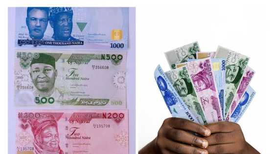 Naira Redesign: Powerful Presidential Candidate Fumes, Exposes Enemies of Nigeria