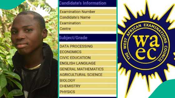 WAEC result 2024: Brilliant student who sat for his exam at All Saints Secondary School gets 7As