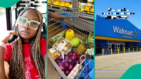 "Way cheaper": Woman abroad goes shopping at Walmart with ₦348k, breaks down expenses