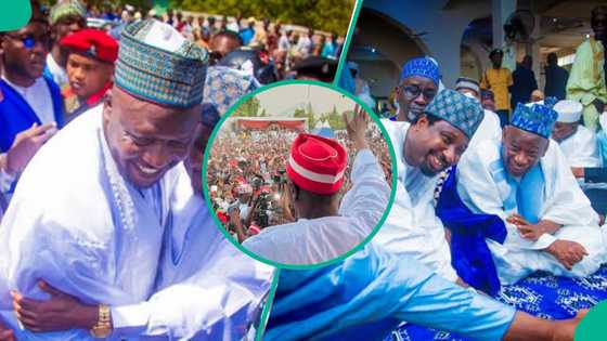 'Ina Abba da Kwankwaso?' Yan NNPP ga Sumaila da ya gayyaci Ganduje, Barau
