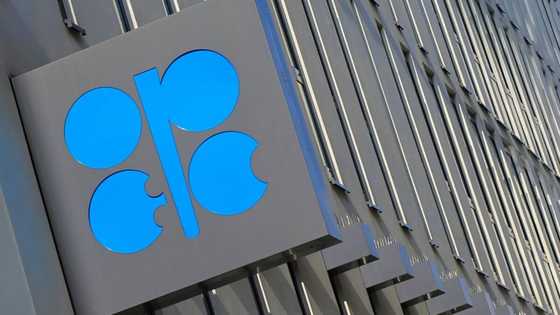 OPEC+ walks 'fine line' between US and Russia