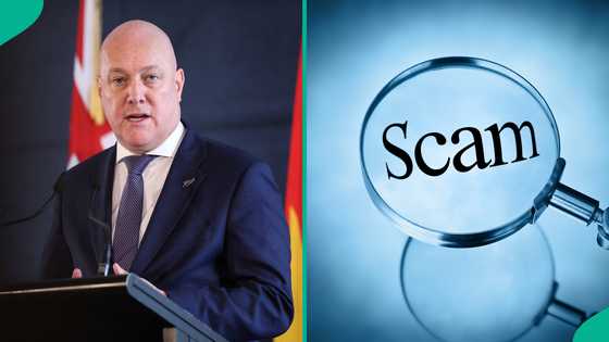Work Visa: New Zealand lists 8 Signs foreigners should look out for to avoid being scammed
