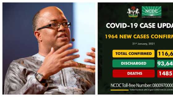 Fear as Nigeria records highest-ever daily figure of COVID-19