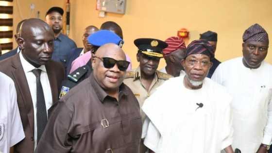 Gov Adeleke: Aregbesola's allies, brother's wife makes appointment list