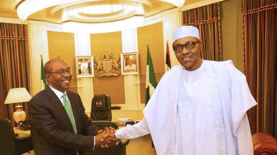 Babban gwamnan CBN ya ziyarci Buhari (Hotuna)