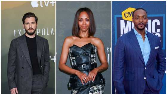 50 most famous B-list celebrities who are currently on the rise