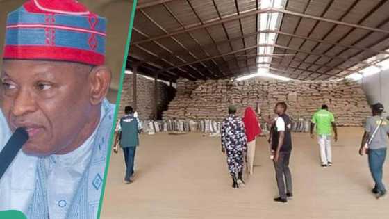 Gwamnatin Kano ta dauki sabon mataki kan rumbunan masu boye abinci da aka rufe