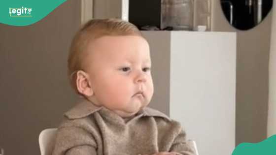 “I know him”: Little boy shows his confidence and charisma as he sits like president