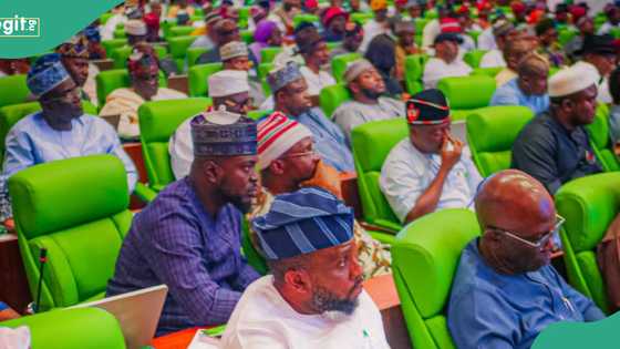 Details emerge as bill to increase Lagos LGAs to 57 passes second reading at House of Reps