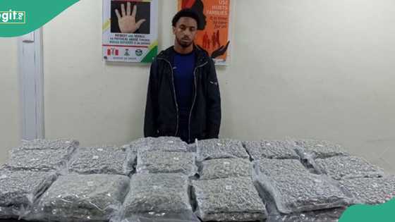 NDLEA arrests Iran-bound lady with illicit drugs in private part, British ex-convict with shipment