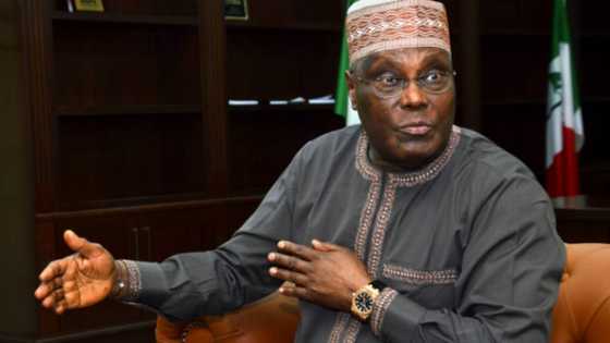 Naira swap: El-Rufai, Ganduje, Bello, others instigating anarchy, says Atiku