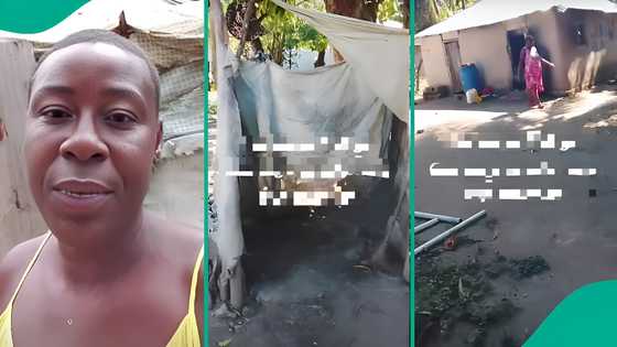 Woman deported from US after 42 years shows her living conditions, says she lost everything