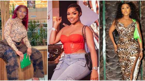 Female BBN stars and male sponsors: Nigerian say most ex-housemates have their success tied to men