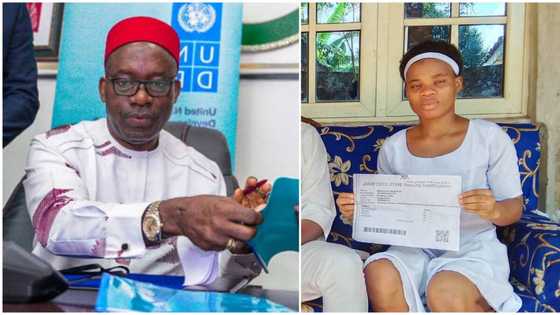 4 things Anambra govt's panel found out after investigating Mmesoma Ejikeme Joy's UTME result