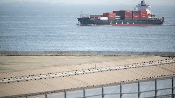 Tokyo's tariff envoy says US talks 'constructive'