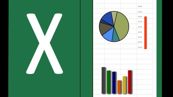 Easy and useful tips on how to divide in Excel