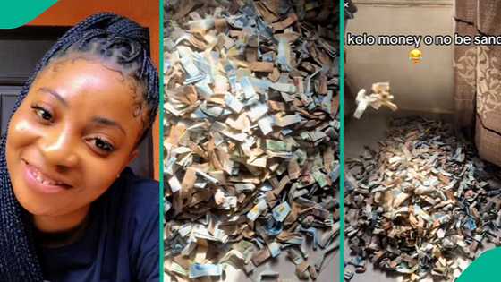 Lady shows off huge cash she saved in box, dishes advice: "If you like, spend extravagantly"