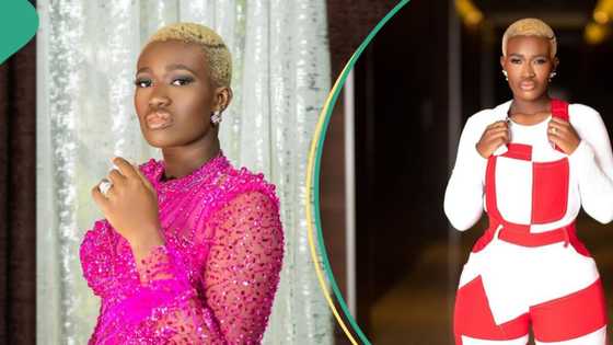 Real Warri Pikin and Delta stakeholders resolve comedy show dispute, agree to move forward