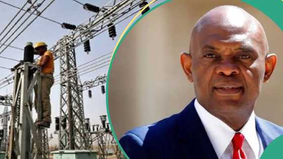 Tony Elumelu's Transcorp Power contributes heavily to Nigeria's national grid