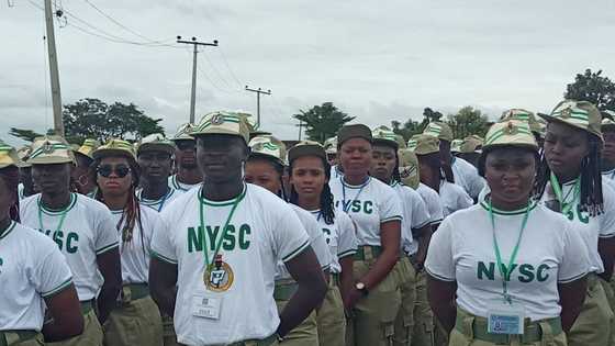 Da Ɗumi-Ɗumi: Miyagun Yan Bindiga Sun Tattara 'Yan Bautar Ƙasa NYSC, Sun Yi Awon Gaba da Su a Arewa