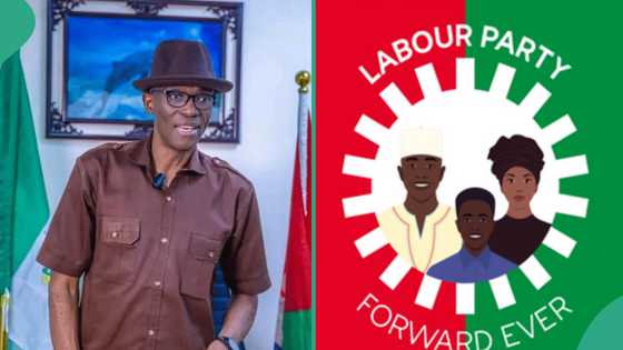Labour Party alerts INEC of illegal governorship primaries in Anambra, affirms Moghalu as guber candidate