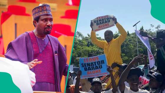 Sanata Barau: Matasan Arewa sun yi gangami a Abuja, sun goyi bayan gyaran haraji