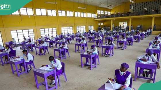 WAEC gives fresh update on marking exercise of 2024 May/June SSCE
