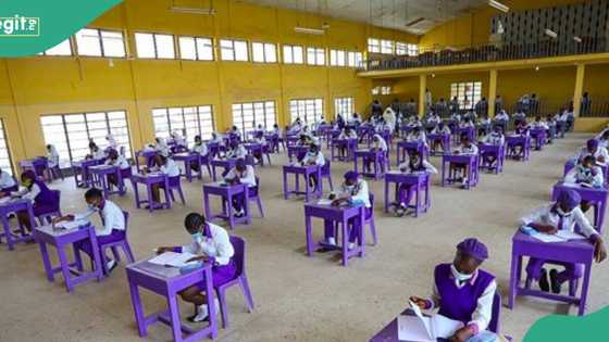 WAEC reacts to report of restricting subjects for 2026 WASSCE
